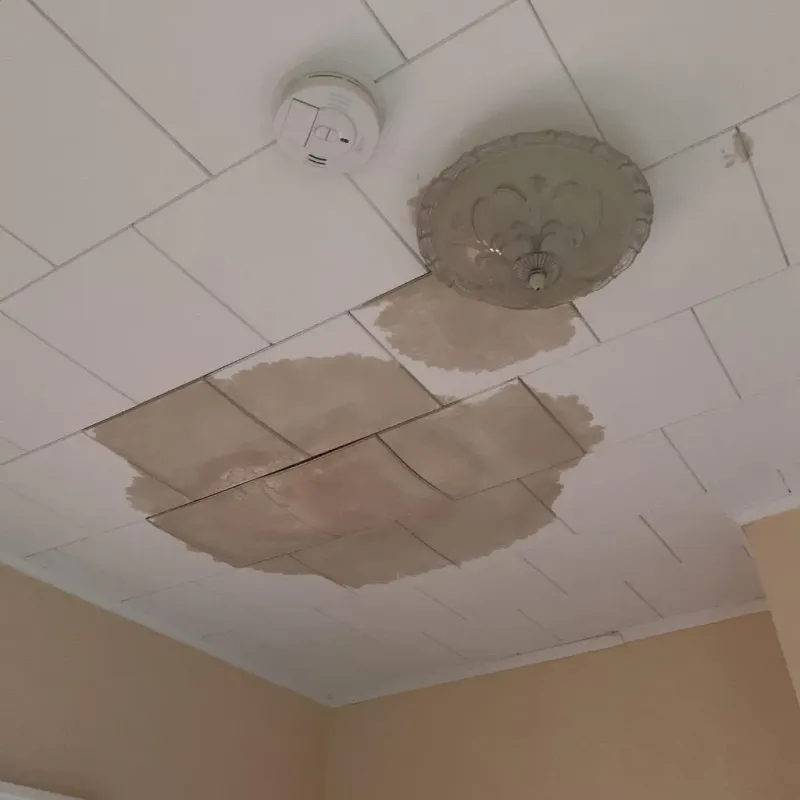 Ceiling Water Damage Repair in Farwell, TX