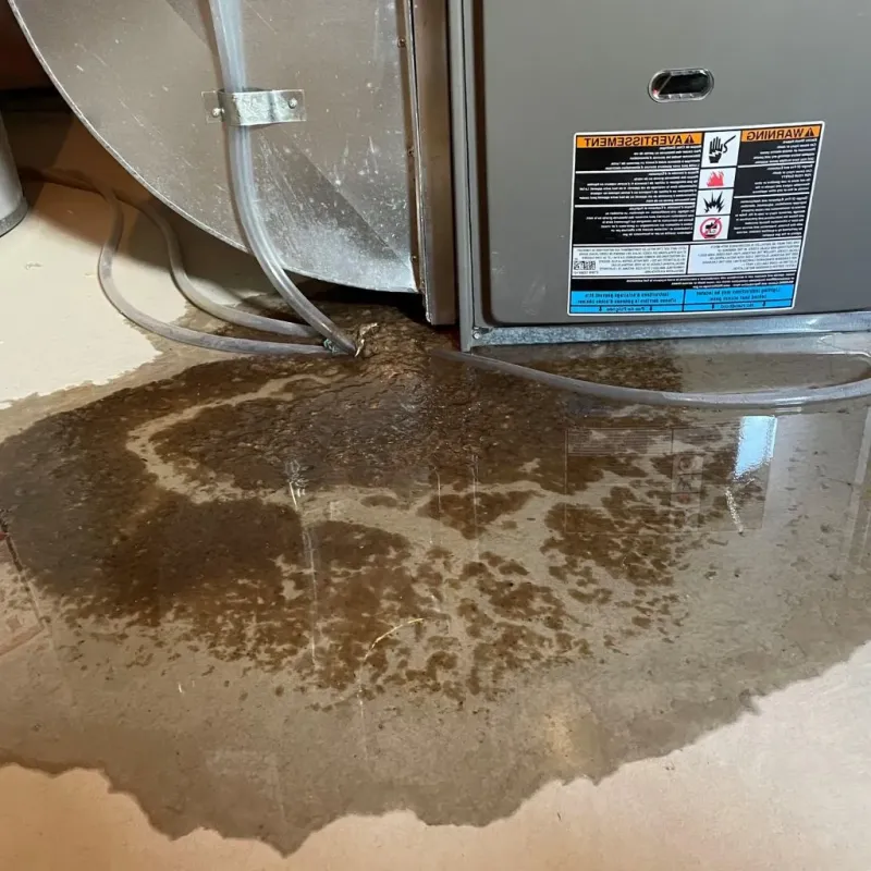 Pipe Burst and Leak Restoration in Farwell, TX