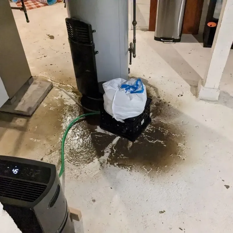 Sewage Backup Cleanup Service in Farwell, TX